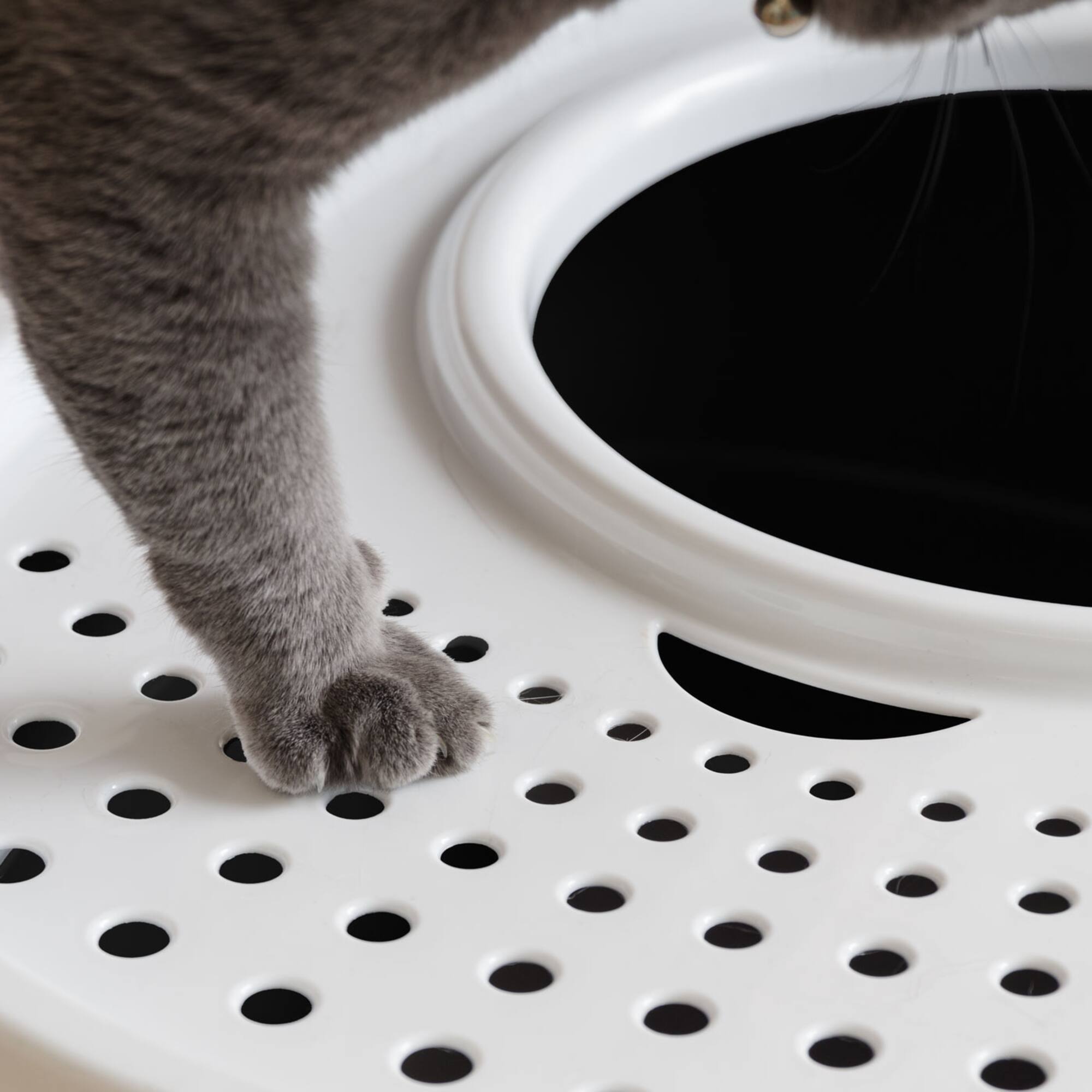 Iris® Large Top Entry Cat Litter Box with Scoop, Black